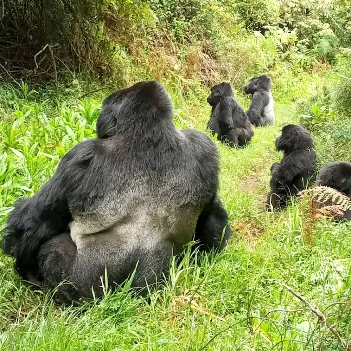 256773135073_status_7f5fa3ad8482412396908d93a2228f60