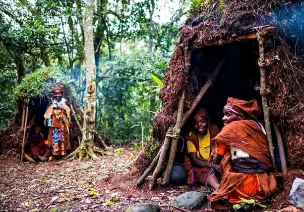 256773135073_status_3d193a820f2f4da19cec91b0bab0b038