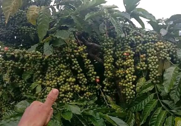 256773135073_status_458ae4aaa2f84b64ba767498e1463baf