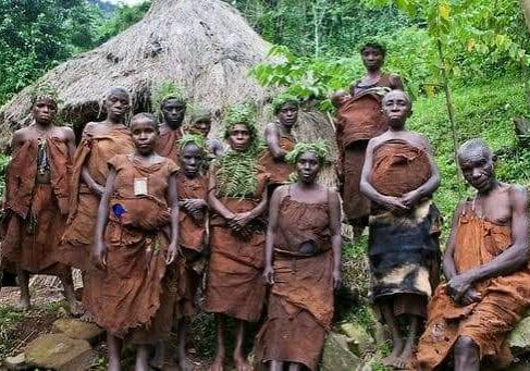 256773135073_status_7297d14b023f457888e0ff184e748709