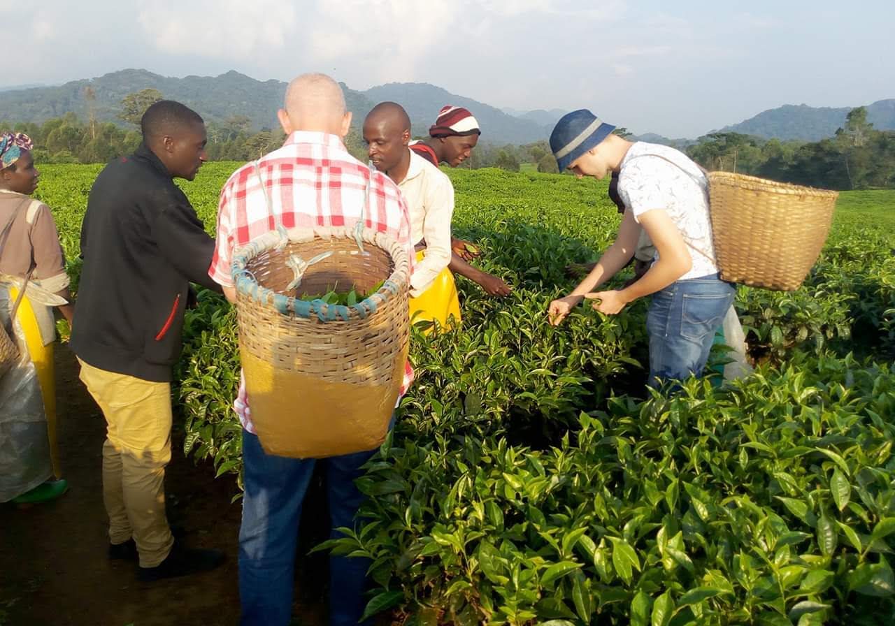 FB_IMG_1562289822427