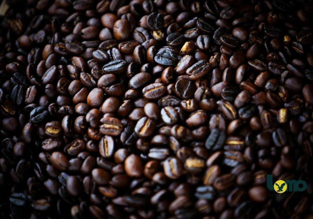 image_4dc7e6e2-2a08-4895-b0e7-0746efb43ac020200209_091032